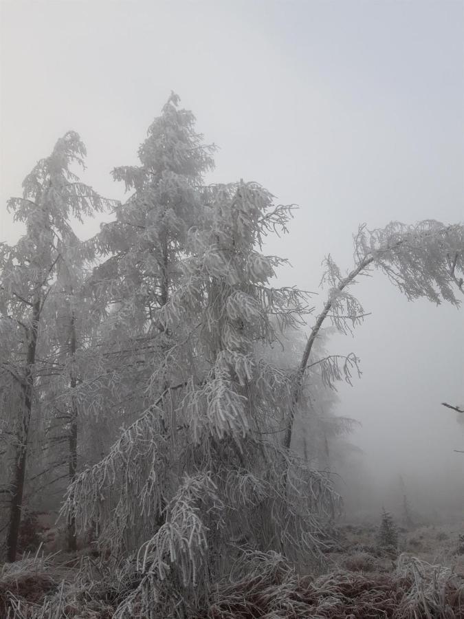 Villa Sonja Altenberg  Dış mekan fotoğraf